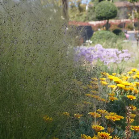 Affittacamere Les Jardins De Santa Giulia - Charmante D'hote *