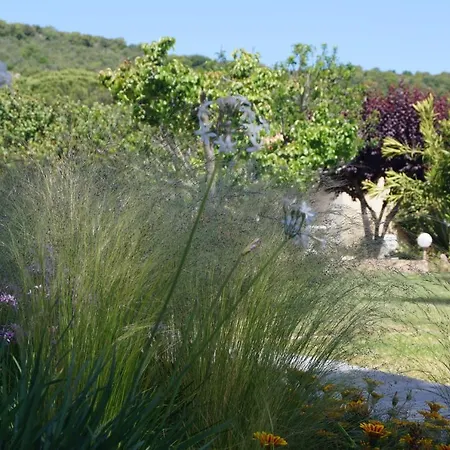 Affittacamere Les Jardins De Santa Giulia - Charmante D'hote Porto Vecchio