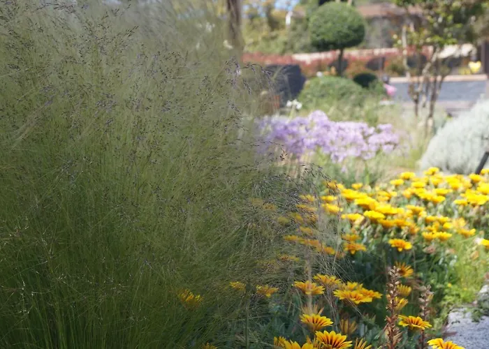 Penzion Les Jardins De Santa Giulia - Charmante Dhte 3*