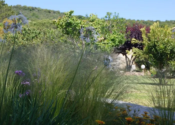 Penzion Les Jardins De Santa Giulia - Charmante Dhte Porto-Vecchio (Corsica)
